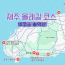 대천동 월평체육공원(정도) | 제주도 올레길 코스 정리 추천 난이도 10코스 송악산 후기