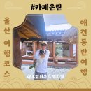 향기펫샵 | 울산 감성 한옥 카페은린 후기｜반려견 동반 가능 카페 추천