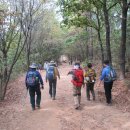 솔향기 쉼터 이미지