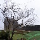 일광횡계민박 이미지