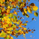 한사유치원 이미지