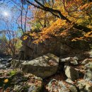 유명산자연휴양림 이미지