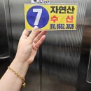 UR(목포시)-[북항로]-상-5 | 목포북항횟집 죽교동 회맛집 자연산수산