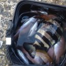 거북민박 이미지