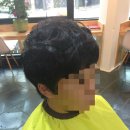 체사레헤어