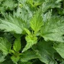 바르다유한의원 이미지