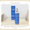 노아PC | 육아 날개뼈 사이, 승모근에 시원한 파리노아 마그네슘 스프레이 사용법 후기