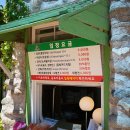 팜카밀레 | 태안 가볼만한곳 팜카밀레 허브농원 후기 꽃구경·산책하기 좋은 태안 여행코스 추천