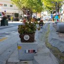 순천시 문화의 거리 이미지