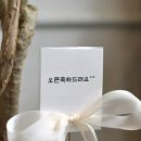 노플랜트노라이프