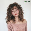 리안헤어고양