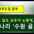 수원-1788 이미지