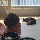 505-16 장안빌딩뒤 | [경남 창원] 부담없이 즐길 수 있는 아이랑 가기좋은 가족탕, 창원 북면 피노호텔