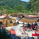 잔디마당 자동차 야영장 이미지