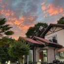 여울애견 이미지