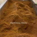 하루효소편백