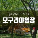 모구리야영장(대피소) | [모구리야영장] 제주 가볼만 한 곳 , 산책길이 아름다운 제주 야영장!