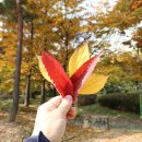 상현근린공원 이미지