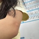 종로-연건-종로-연-249 | 길잃은 강아지