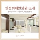 연꽃위에한의원 네이버블로그