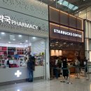 와우로 15번길 1L(1->종점) | 해외여행 왕초보들을 위한 인천공항1터미널 탑승방법 시간 + 대중교통 이용방법 정리 ✈️