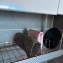 다경펜션 이미지