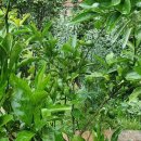 으뜸펜션 이미지