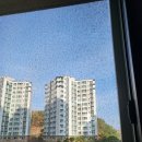 해든마을 동문굿모닝힐 | 울산방충망 교체- 문수마을 동문굿모닝힐 블랙스텐 방충망 시공 후기 (여름 대비 필수!)