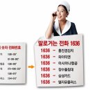 다비치안경부산대점 이미지