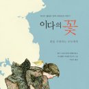 이다 이미지