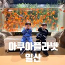 지호팜 | 아이랑 가볼만한곳 실내 아쿠아플라넷 일산 더아쿠아 더스카이팜 더정글 다흑기획전 기간 티켓할인 주차