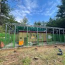 남부순환도로 이미지