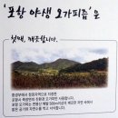 죽장축산 | [포항오가피/가시오가피즙] 가시오가피 오가피 효능 알고 마셔요