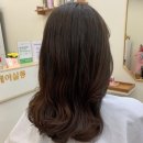 더레아살롱