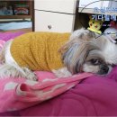 감자바우민박 이미지