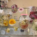 본리선약국 이미지