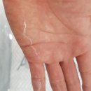 알레르망 신혼침구 인기도조사 제품별 판단해 보아요