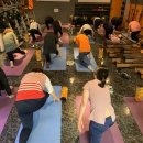 P-6929 | (여성전문헬스/핏걸 방학점)도봉구 방학동pt 알뜰한 운동소비 통한 만족감 높은 피티가 여기에