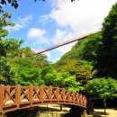 강천산 길 이미지