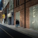 2025/04/29~ Walking in ShangHai #12 (M50 창의원) 이미지