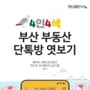 동동책+방 이미지