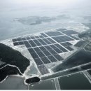 현○ 태양광발전소 이미지