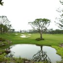 테디벨리 이미지