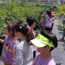 금부초병설유치원 이미지