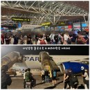 파라타항공 WE202 다낭공항 출구 인천행 탑승 1시간 지연 탑승 후기