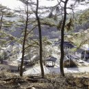 백화쉼터 이미지