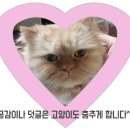 CU 춘천유엔아이정문점 | [춘천] 쫄깃한 베이글이 맛있는 춘천 디저트 맛집! 베이글 카페 춘천점