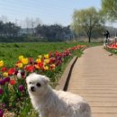 승기천 신연수역 이미지