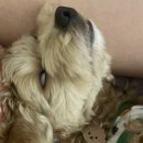 개프탑라운지 이미지