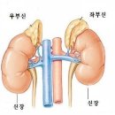 스테로이드에 대한 오해와 진실 이미지